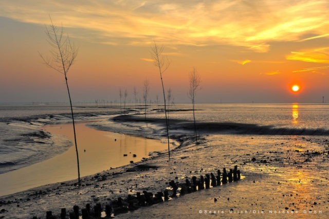 Wattenmeer Wremen Sonnenuntergang Foto@Beate Ullich Die Nordsee-GmbH