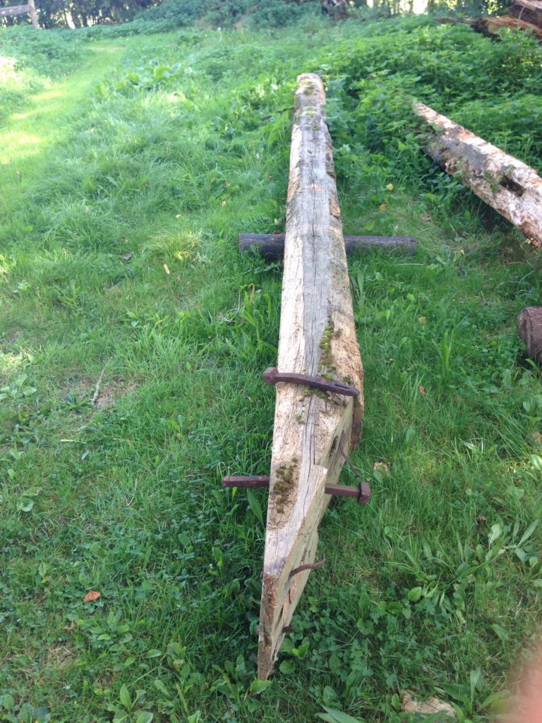 Alter Balken liegt einsam auf der Bauernwiese in Pilsum