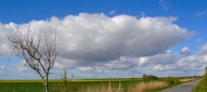 Ostfriesland 2018 Juli