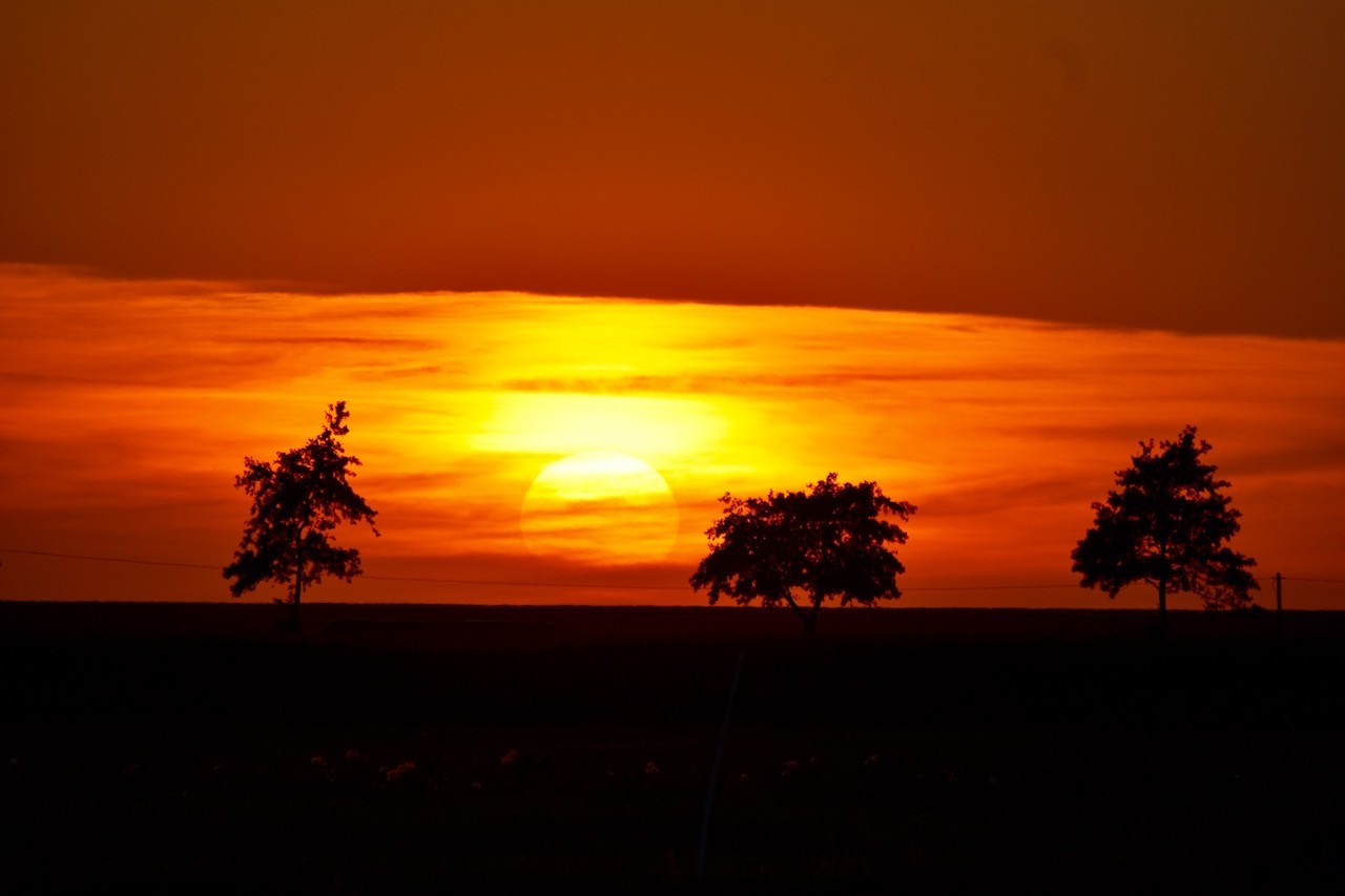 Ostfriesland Campen hinterm Deich