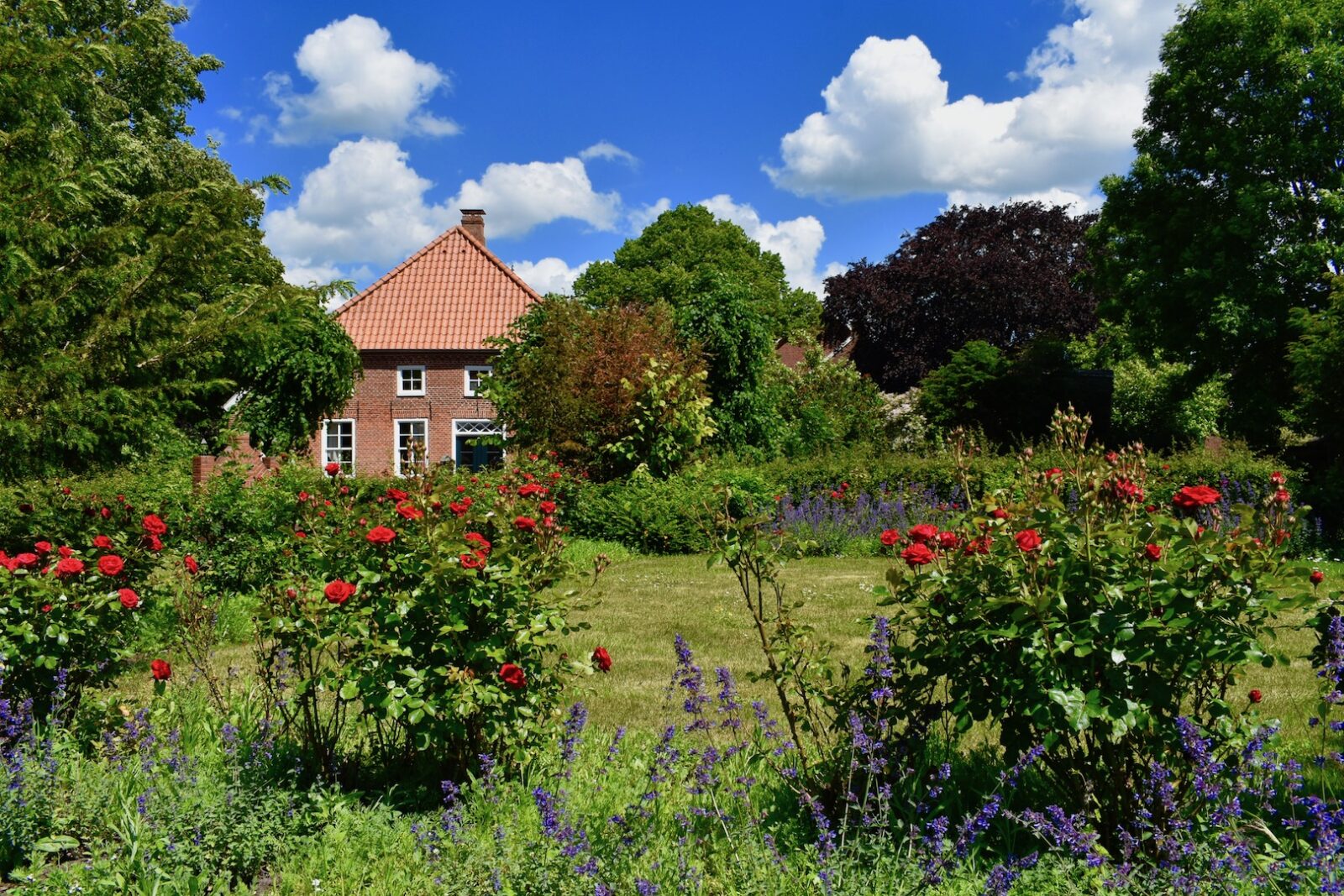 Häuptlingssitz in Loquard Krummhörn