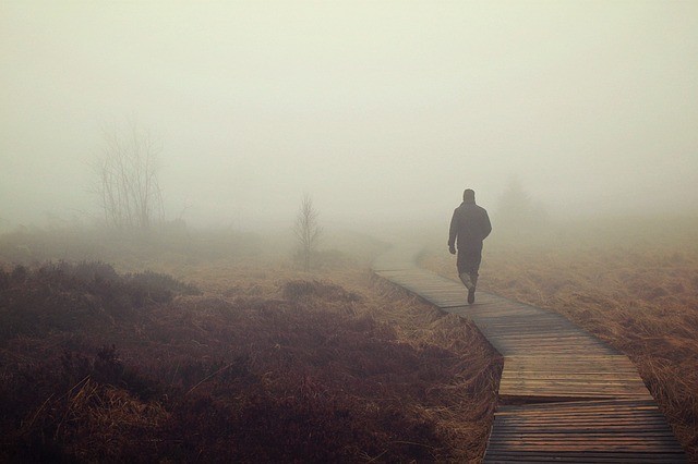Moor Nebel