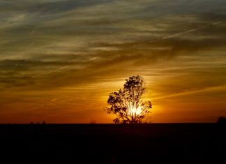 Loquard Krummhörn Sonnenuntergang