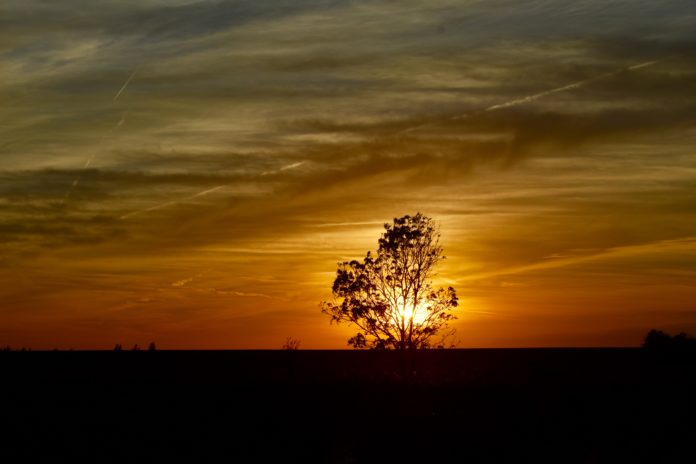 Loquard Krummhörn Sonnenuntergang