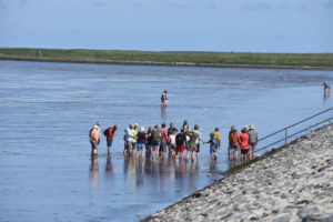 Wattwanderung für Fereingäste in Upleward Krummhörn Ostfriesland. Natur in der Nordsee erleben