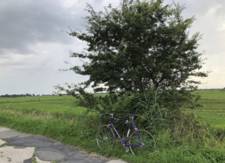 Radtour Krummhörn mit dem Rennrad