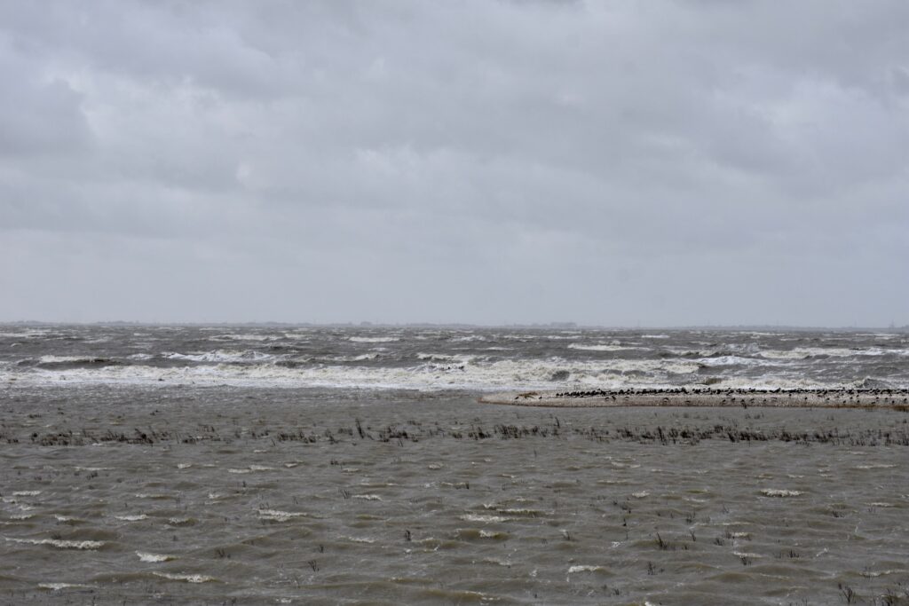 Ostfriesland Nordsee Wattenmeer Krummhörn Februar 2022