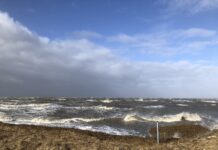 Ostfriesland Nordsee Wattenmeer Krummhörn Februar 2022