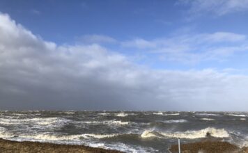 Ostfriesland Nordsee Wattenmeer Krummhörn Februar 2022