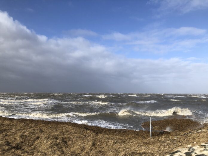 Ostfriesland Nordsee Wattenmeer Krummhörn Februar 2022