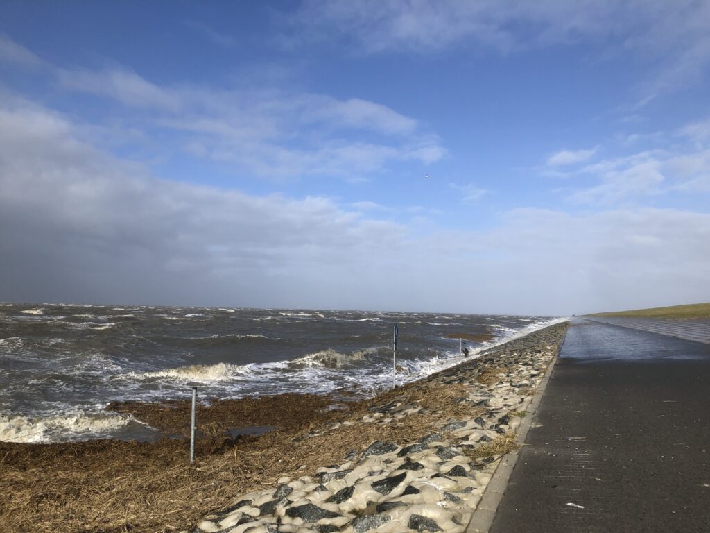 Ostfriesland Nordsee Wattenmeer Krummhörn Februar 2022