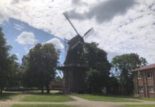 Heiraten oder Tee trinken in der Windmühle in Hinte