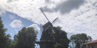 Heiraten oder Tee trinken in der Windmühle in Hinte