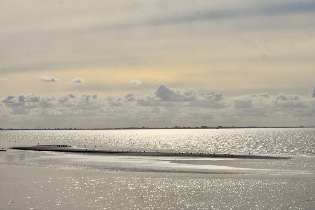Der Blick auf das Nordsee Wattenmeer vor Loquard und Campen Ostfriesland. Wunderschöne Momente bei der Radtor den Deichweg entlang 