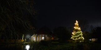 Der Weihnachtsbaum am Burggraben in Loquard