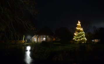Der Weihnachtsbaum am Burggraben in Loquard
