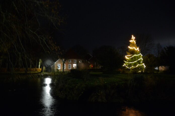 Der Weihnachtsbaum am Burggraben in Loquard