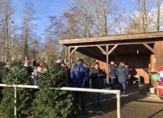 Tolle Weihnachtsbäume beim FC Loquard am 9.12.2023