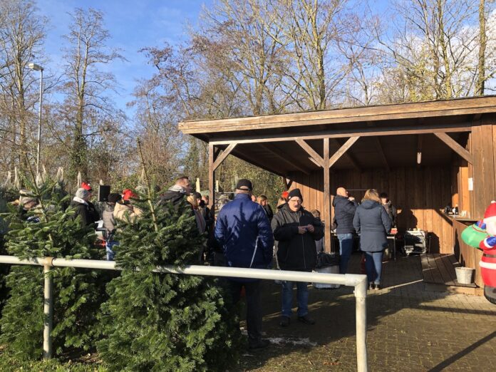 Tolle Weihnachtsbäume beim FC Loquard am 9.12.2023