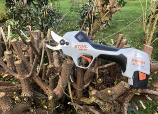 Endlich einmal eine feine hilfreiche Ast Schere - Die Stihl Akku ASA20