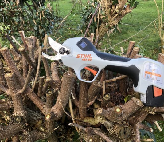 Endlich einmal eine feine hilfreiche Ast Schere - Die Stihl Akku ASA20