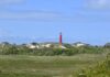 Wer Natur liebt, wird Schiermonnikoog lieben: autofrei, ursprünglich, erholsam. Unser Kolumnist hat sich aufgemacht zum niederländischen Inseljuwel – mit Fahrrad und einer großen Portion Entdeckergeist.