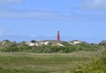 Wer Natur liebt, wird Schiermonnikoog lieben: autofrei, ursprünglich, erholsam. Unser Kolumnist hat sich aufgemacht zum niederländischen Inseljuwel – mit Fahrrad und einer großen Portion Entdeckergeist.