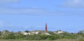 Wer Natur liebt, wird Schiermonnikoog lieben: autofrei, ursprünglich, erholsam. Unser Kolumnist hat sich aufgemacht zum niederländischen Inseljuwel – mit Fahrrad und einer großen Portion Entdeckergeist.