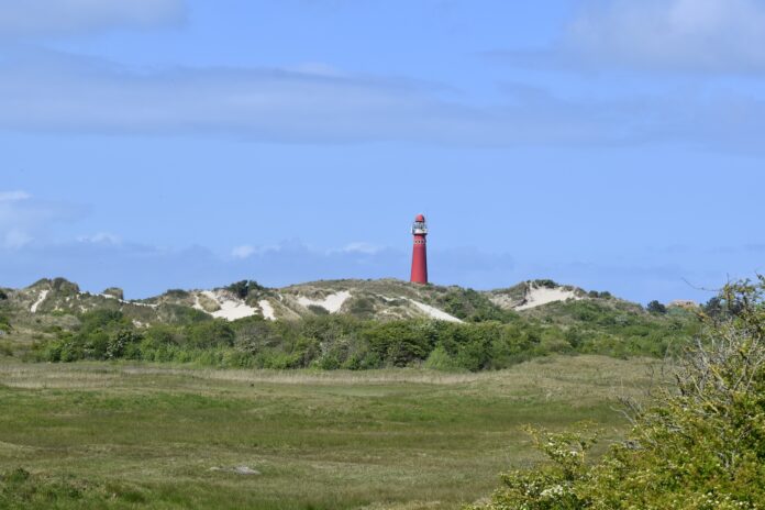 JAZ_0341 Wer Natur liebt, wird Schiermonnikoog lieben: autofrei, ursprünglich, erholsam. Unser Kolumnist hat sich aufgemacht zum niederländischen Inseljuwel – mit Fahrrad und einer großen Portion Entdeckergeist.