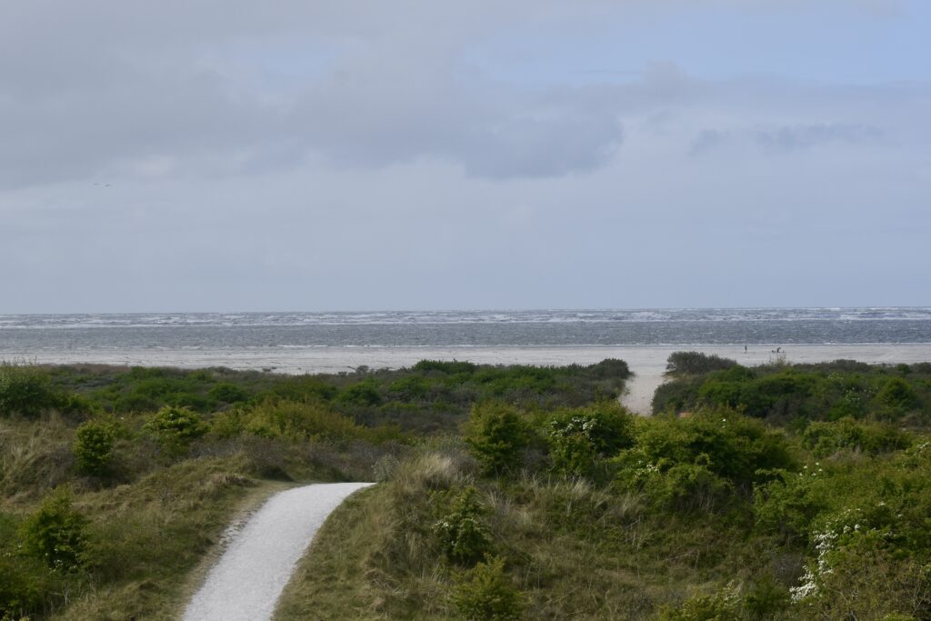 Gut ausgeschilderte Radwege führen durch die Dünenlandschaft von Schiermonnikoog