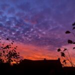 3578E1E1-8101-4DD2-8A04-6DAEC151E3B1_1_105_c