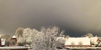 Loquard am 4 Januar 2026 alles Weiß