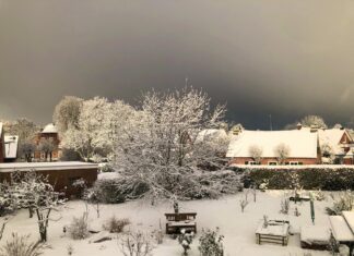 Loquard am 4 Januar 2026 alles Weiß