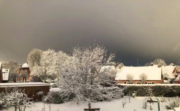 Loquard im Januar 2026 im Schnee Loquard am 4 Januar 2026 alles Weiß