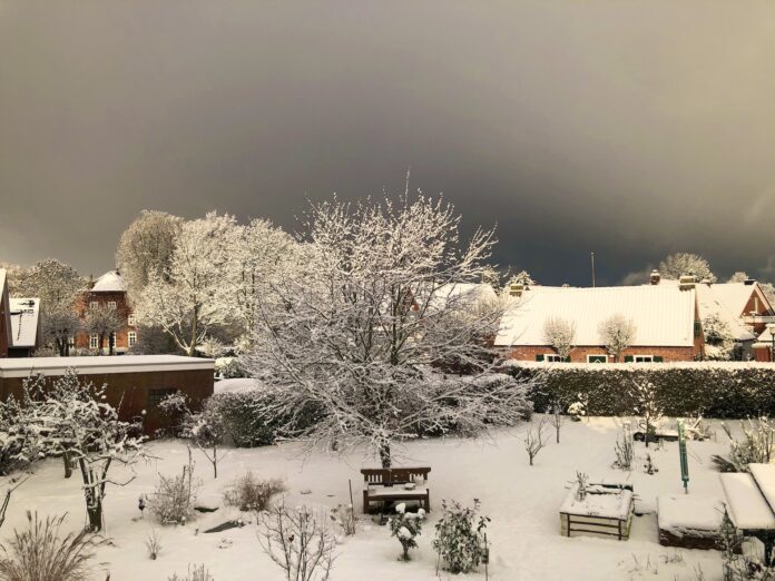 Loquard am 4 Januar 2026 alles Weiß