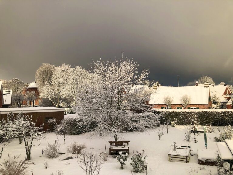 Loquard am 4 Januar 2026 alles Weiß